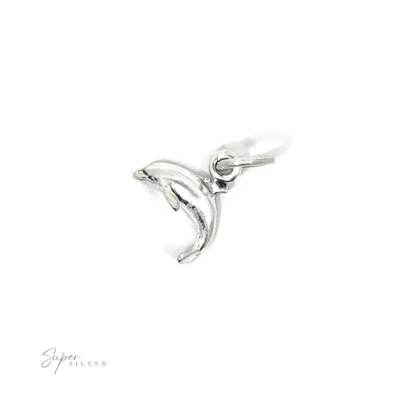 Tiny Dolphin Charm