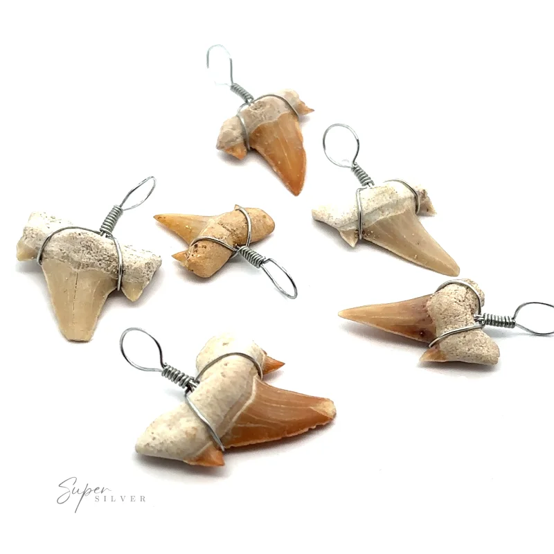 Sharks Tooth Wire Wrapped Pendant